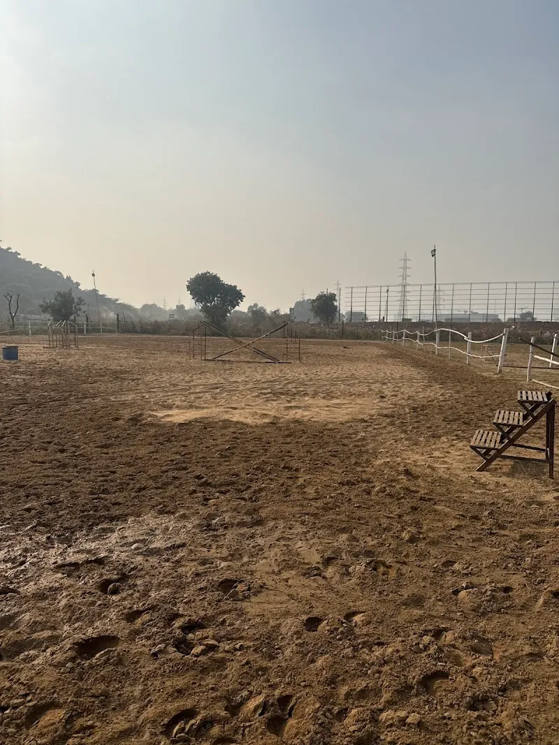 MS Horse Riding Club