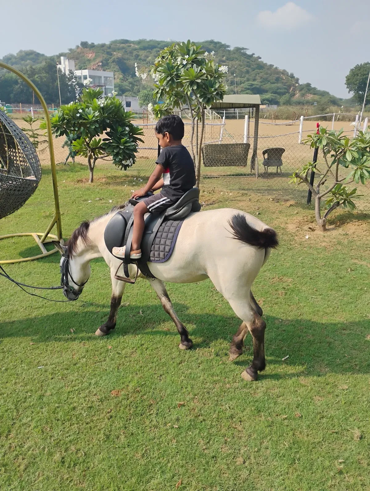 MS Horse Riding Club photo 2