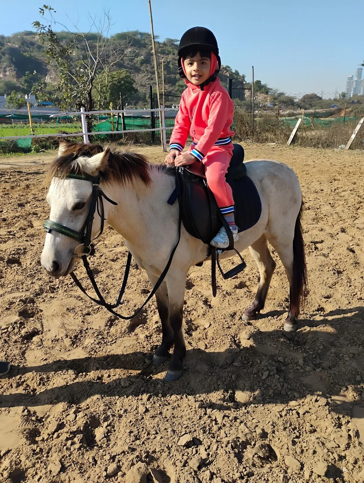 MS Horse Riding Club photo 4