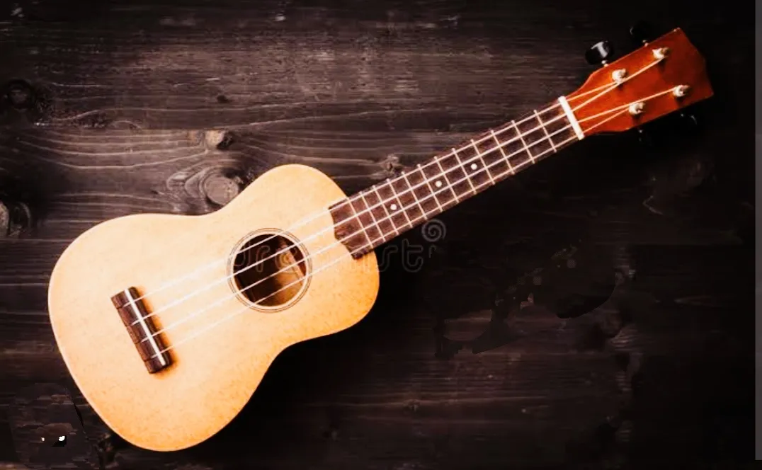 Naad Music Academy photo 3