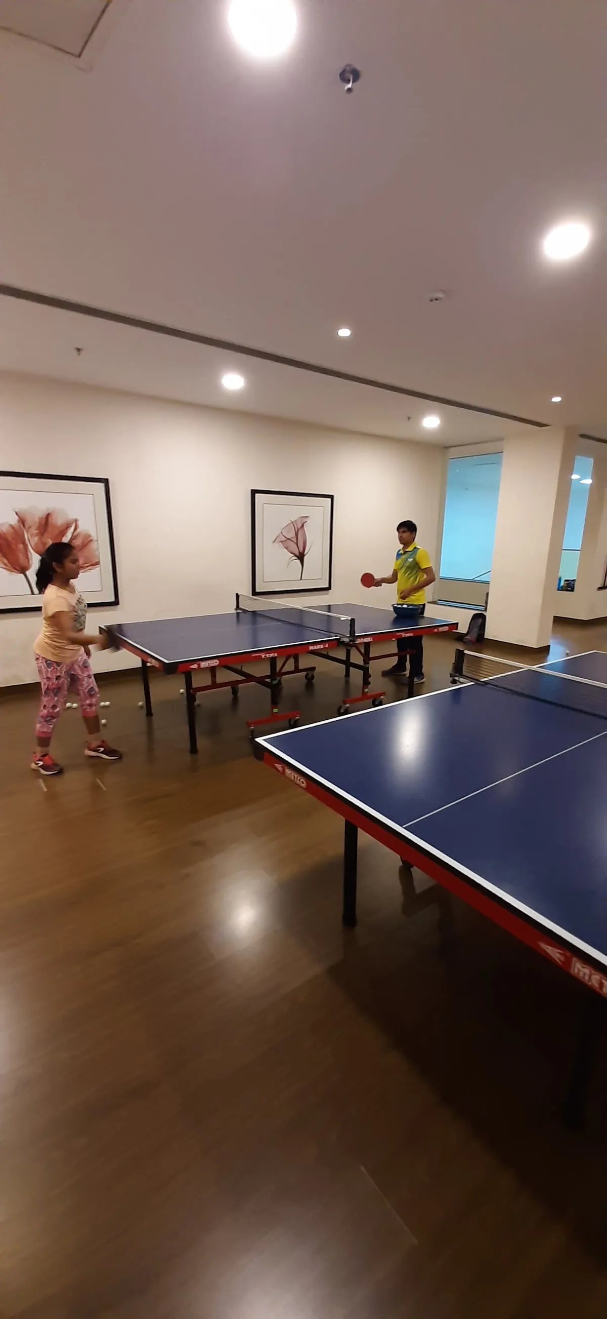 National Table Tennis Academy photo 3