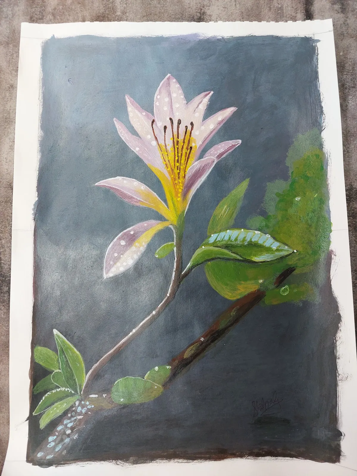 NIFA: National Institute of Fine Arts photo 4