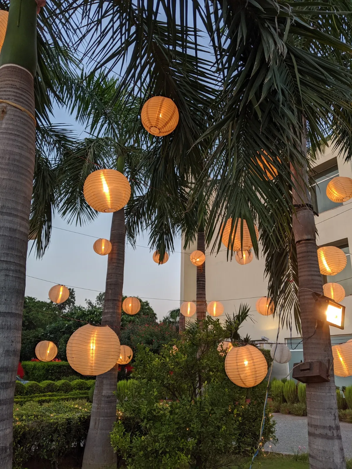 Nirvana Patio Club photo 4