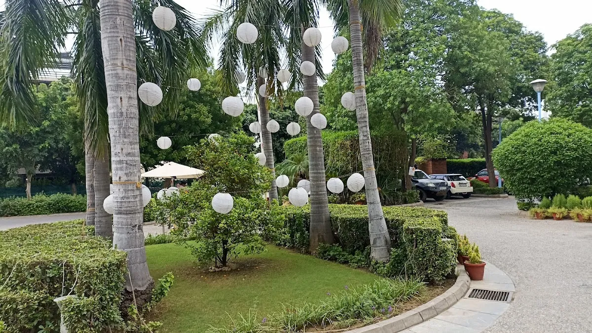 Nirvana Patio Club photo 5