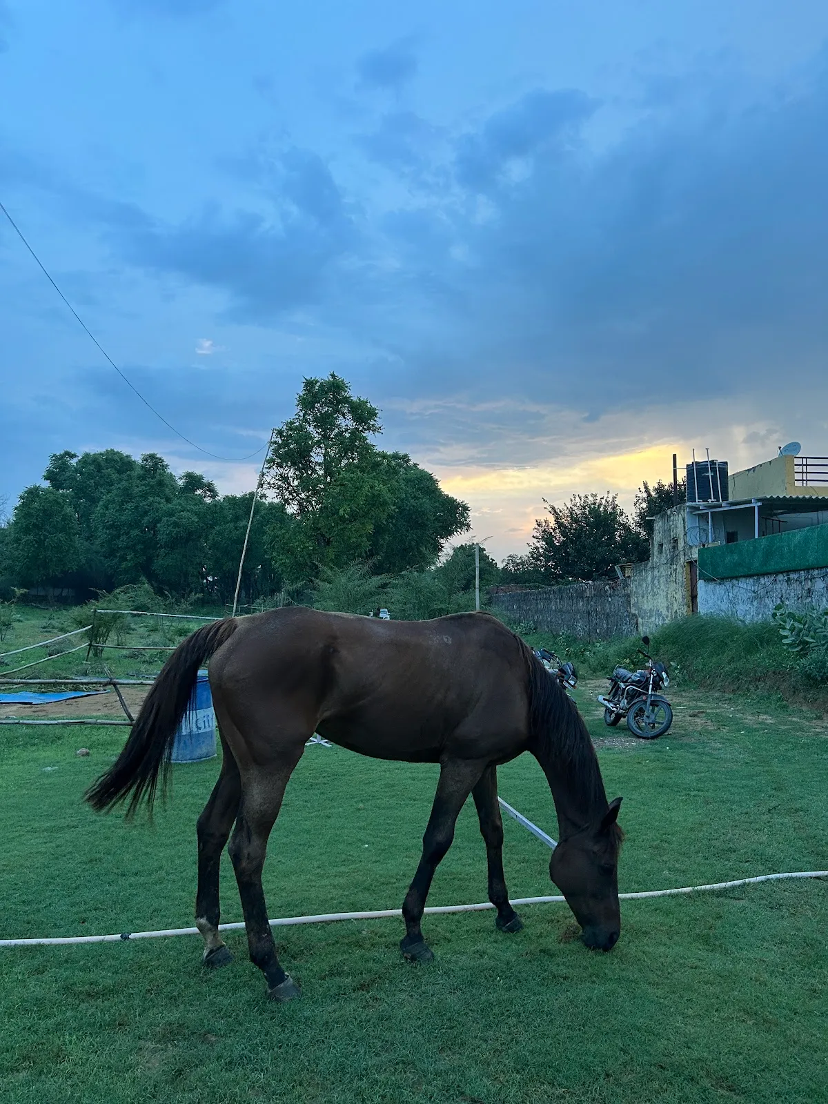 Passion Horse Riding Club (PHRC) photo 6
