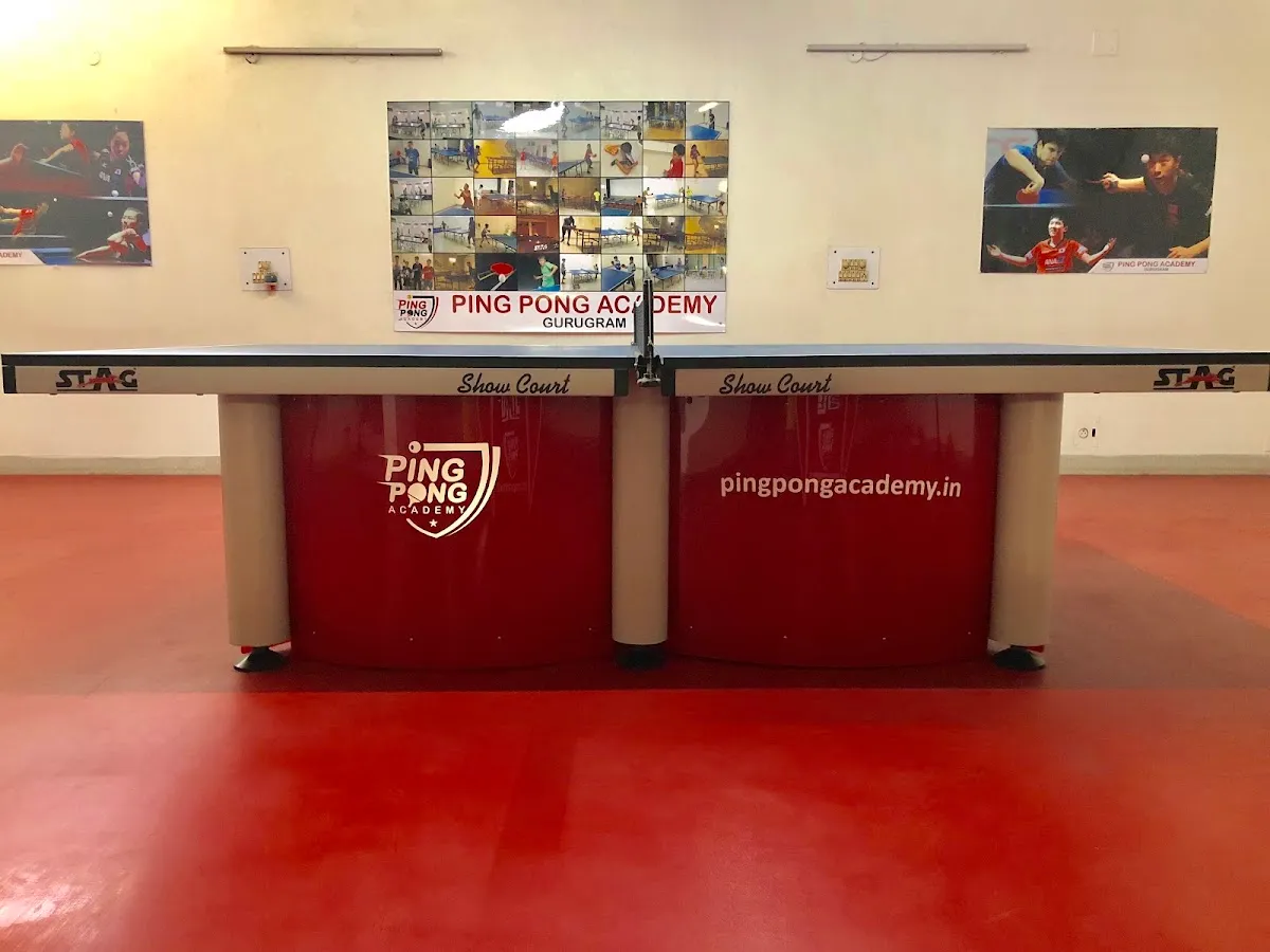 PING PONG ACADEMY ™ photo 5