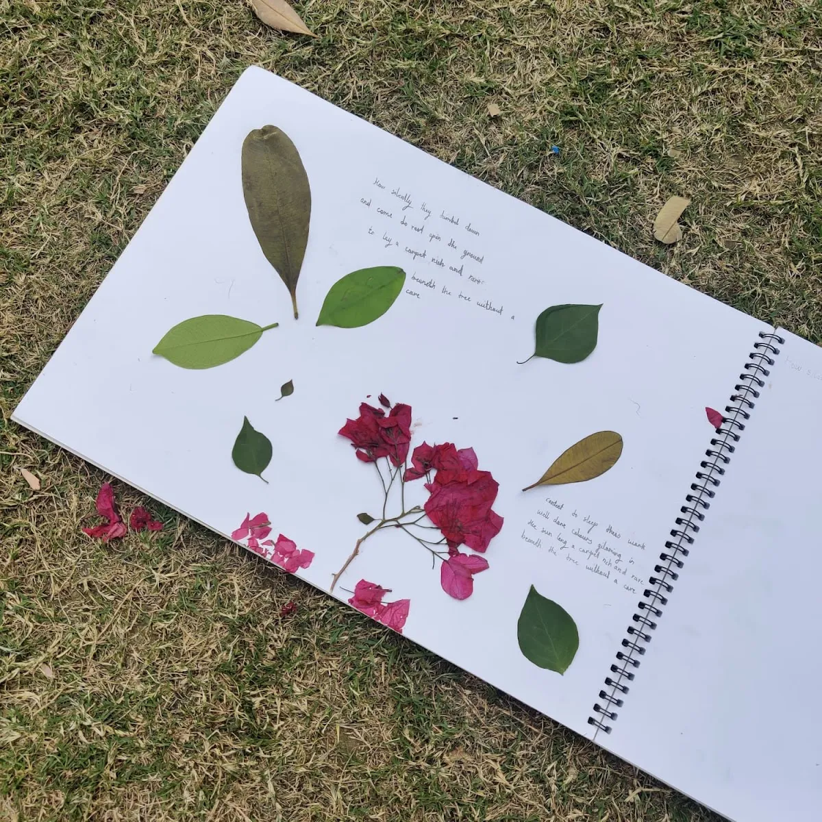 Regenesys -Wordplay photo 4