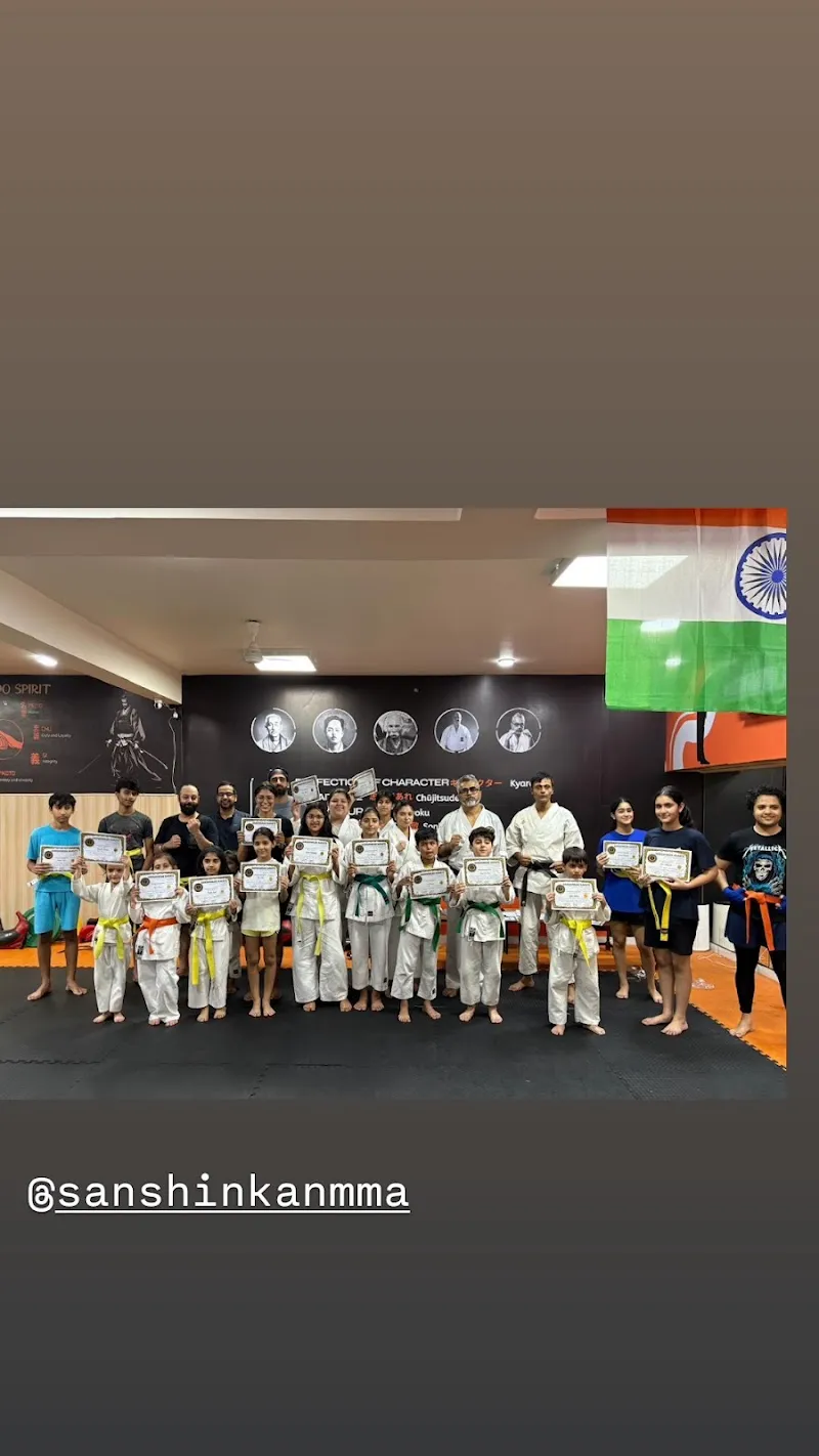 Sanshinkan 43 - MMA | Karate | Kickboxing | Jiu Jitsu | Self Defense
