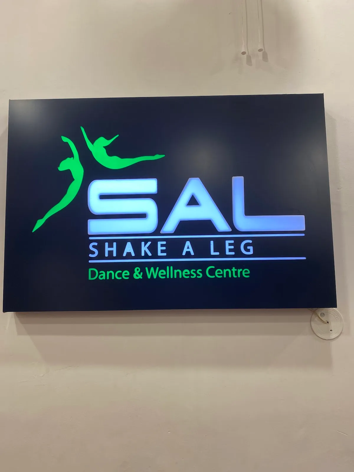 Shake a Leg Dance & Wellness Centre : Best Dance Classes | Best Wedding Choreographer | Gurgaon photo 4