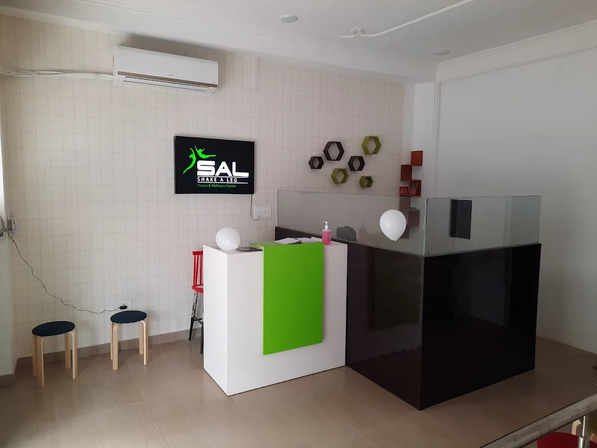 Shake a Leg Dance & Wellness Centre : Best Dance Classes | Best Wedding Choreographer | Gurgaon photo 5