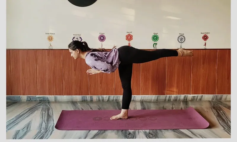 Shreyas Yoga Classes & Wellness Therapy