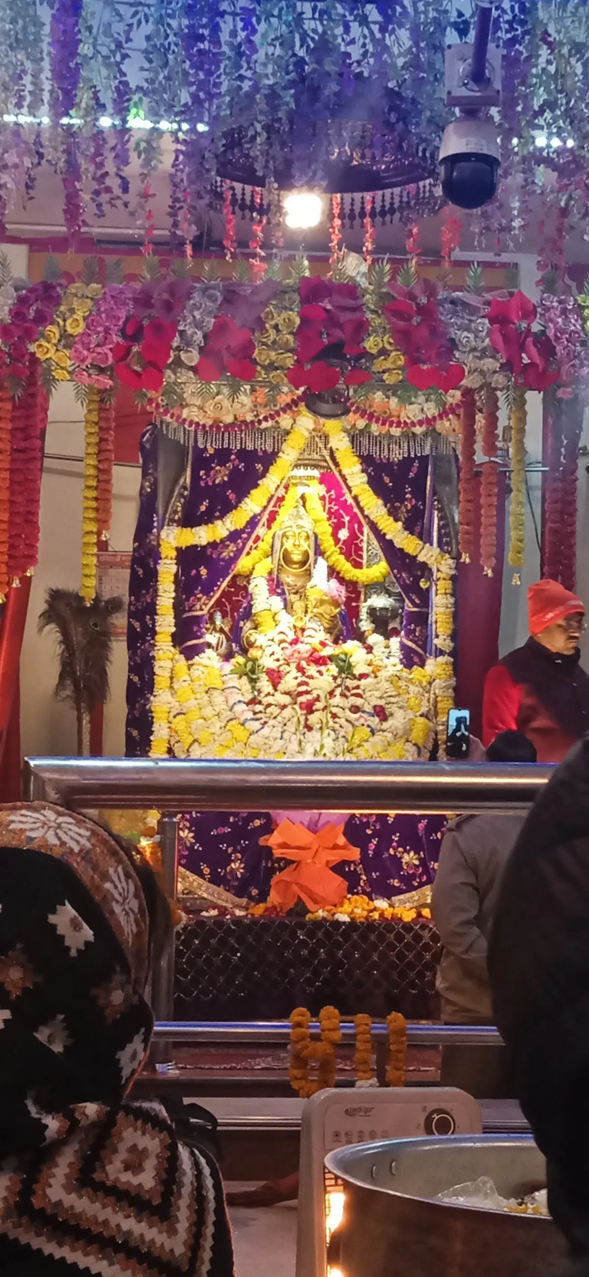 Shreyas Yoga Classes & Wellness Therapy photo 5