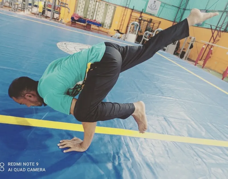 Sports and Fitness Coaching.