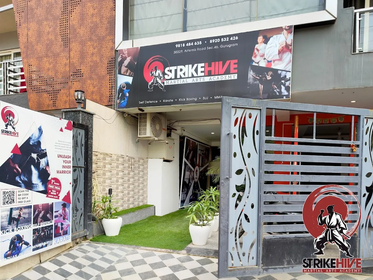 StrikeHive Martial Arts Academy photo 3