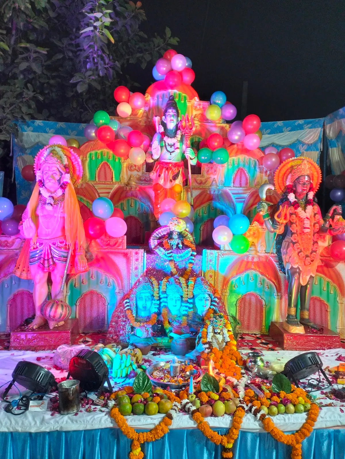 Tarang Musical Group photo 3