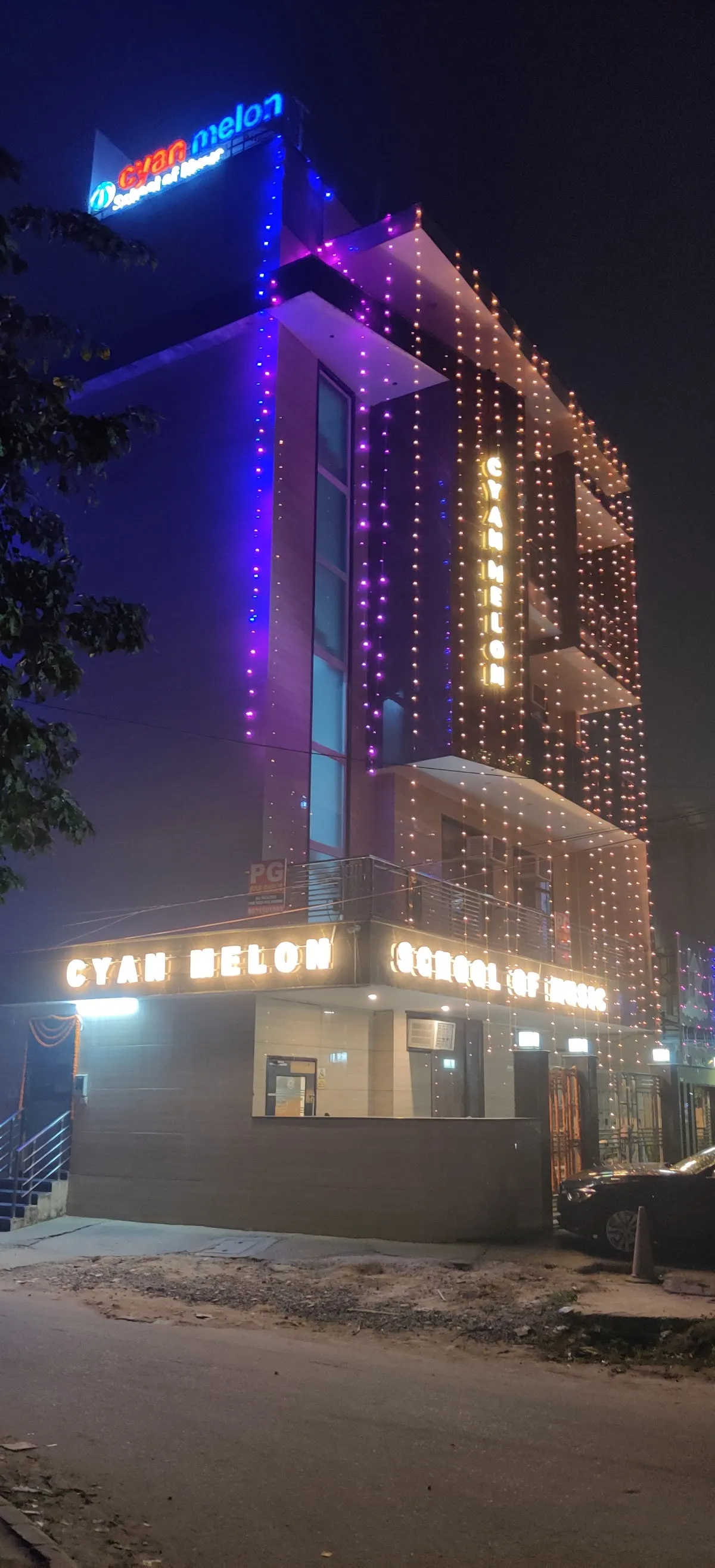 The Cyan Melon School of Music photo 5