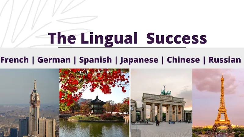 The Lingual Success