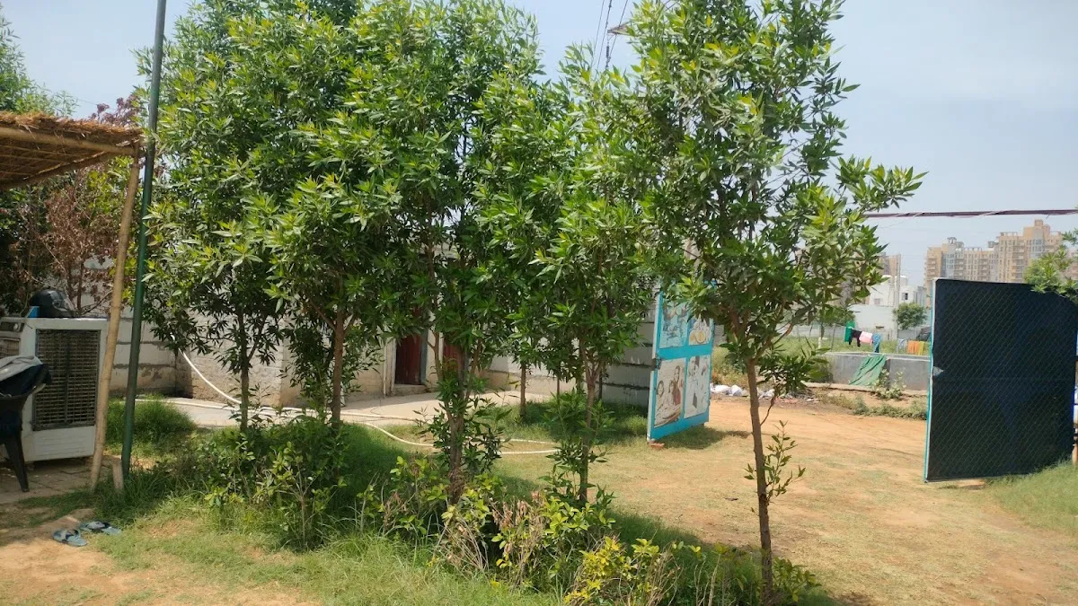 The royal swimming pool photo 6