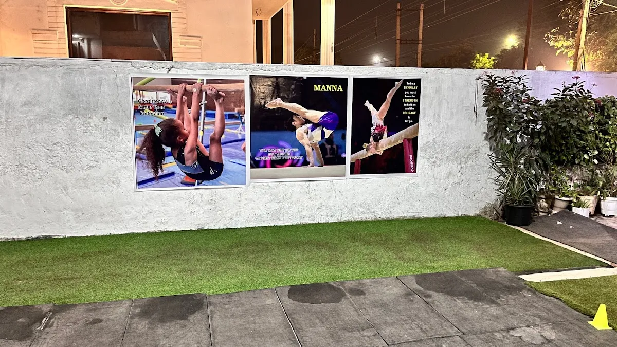 The Steel Gymnastics Academy photo 4