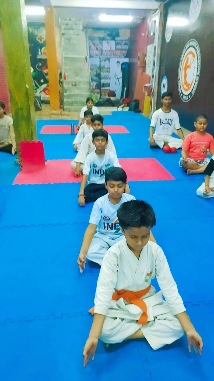 UFO Martial Art Academy photo 2