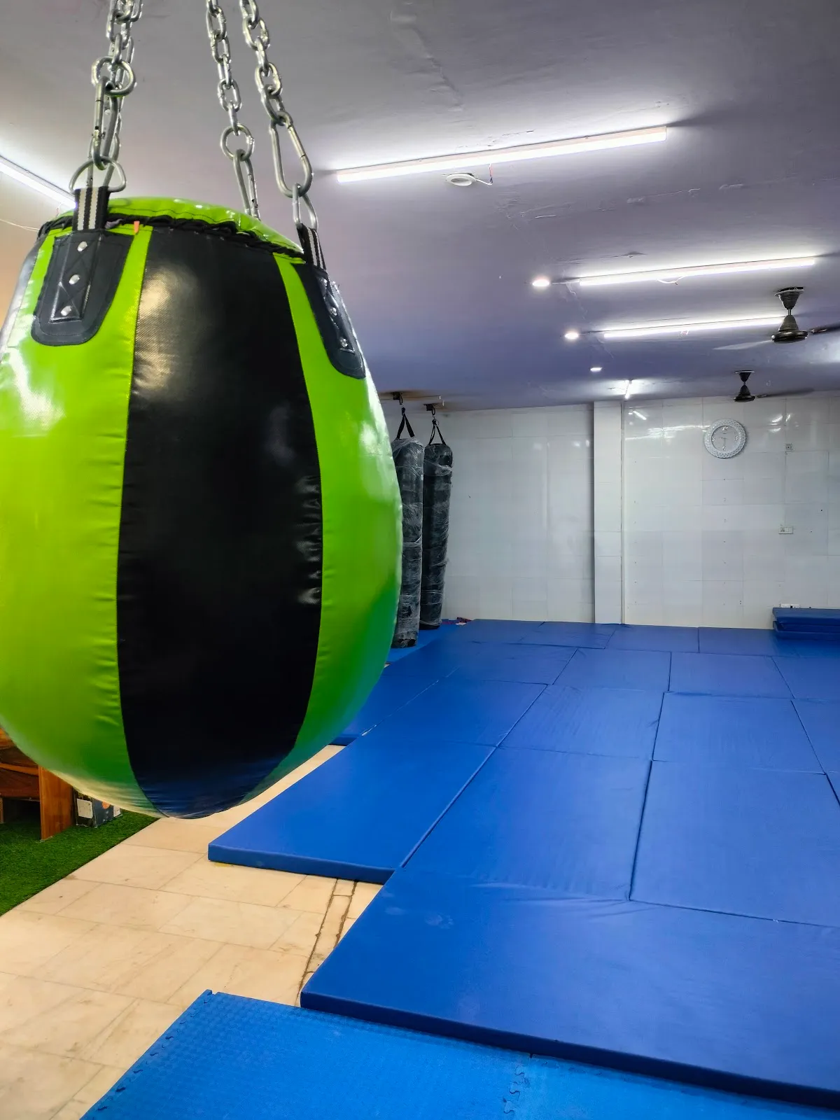 unity combat mma photo 5