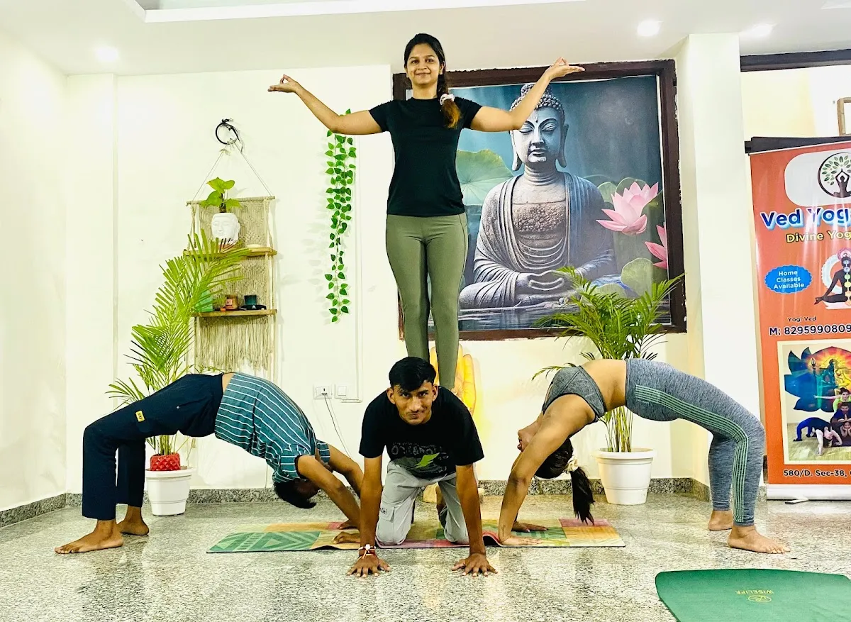 Ved Yoga Shala || International Yoga Teachers || Yoga Studio || photo 2