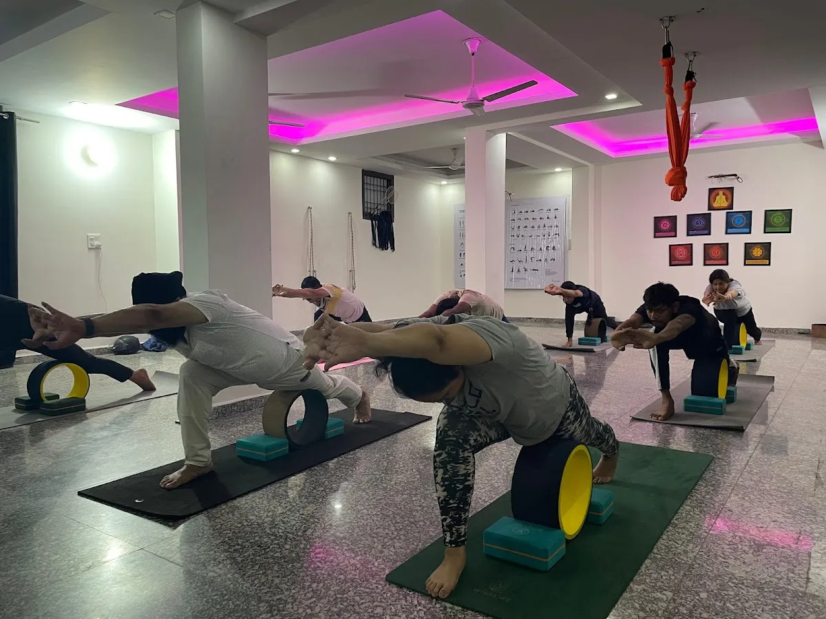 Ved Yoga Shala || International Yoga Teachers || Yoga Studio || photo 3