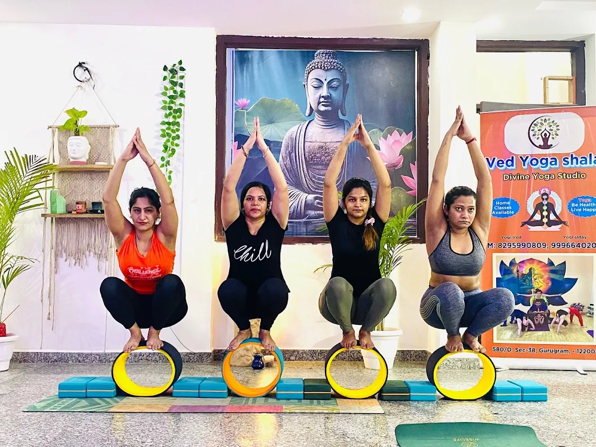 Ved Yoga Shala || International Yoga Teachers || Yoga Studio || photo 5