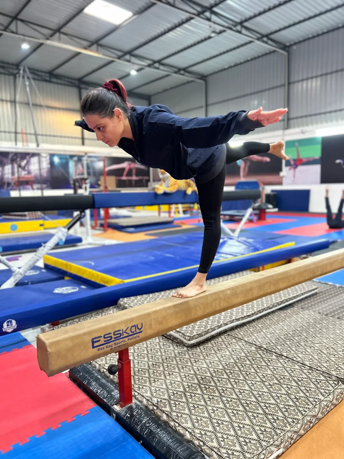 Warrior Gymnastics Academy photo 4