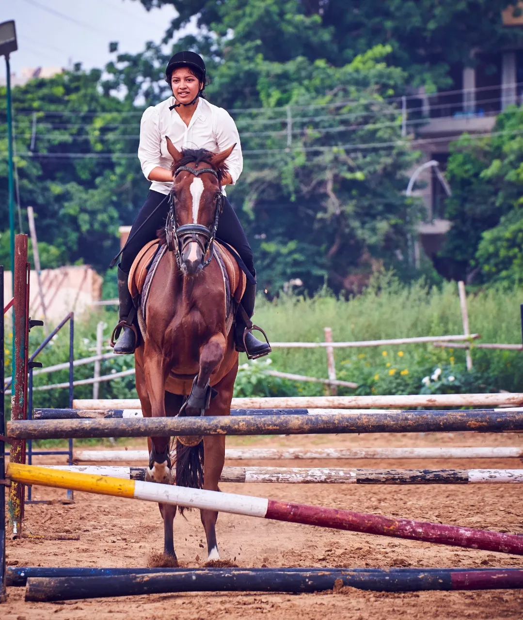 WOODSTOCK RIDING SCHOOL photo 2