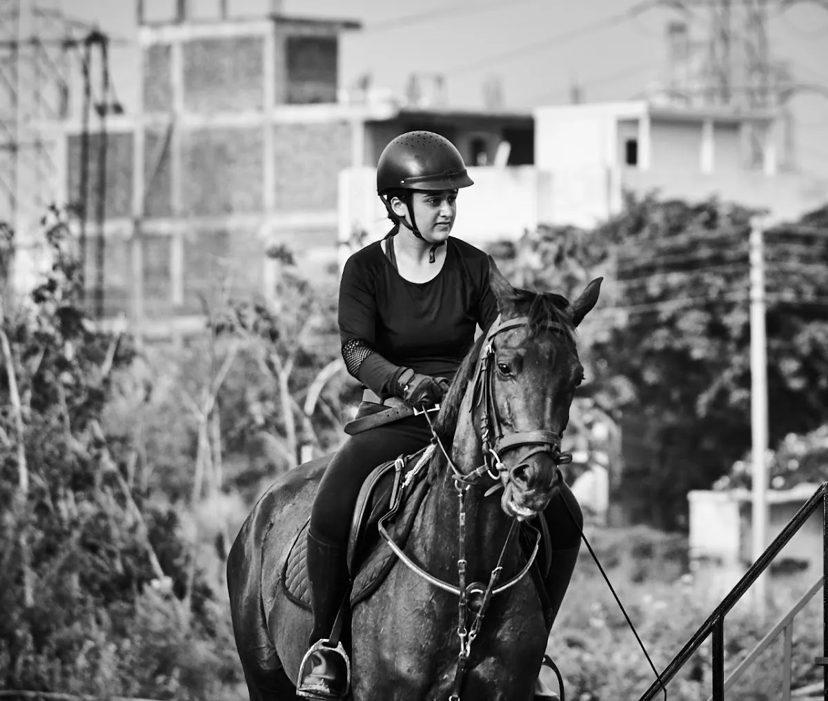 WOODSTOCK RIDING SCHOOL photo 3