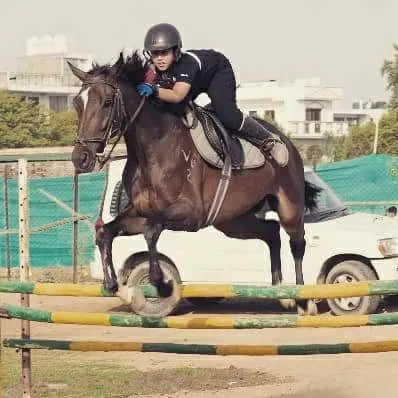 WOODSTOCK RIDING SCHOOL photo 4