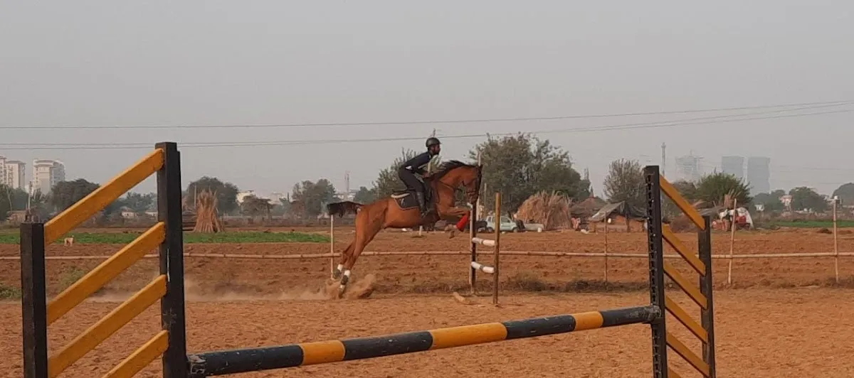 WOODSTOCK RIDING SCHOOL photo 6