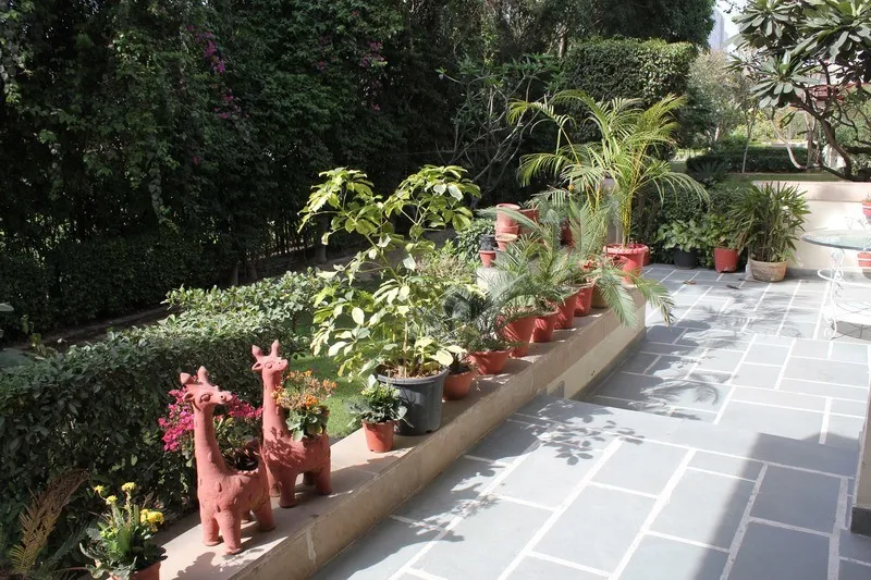 Yoga With Suhasini photo 6