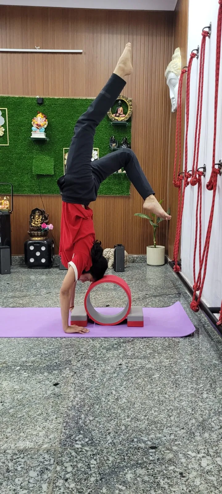 Yogic Bliss by Aarti Sharma photo 4