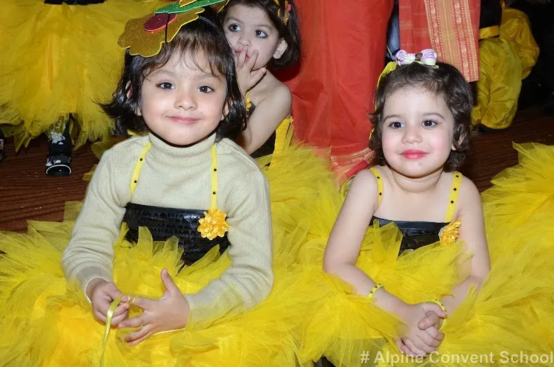 Alpine Convent School