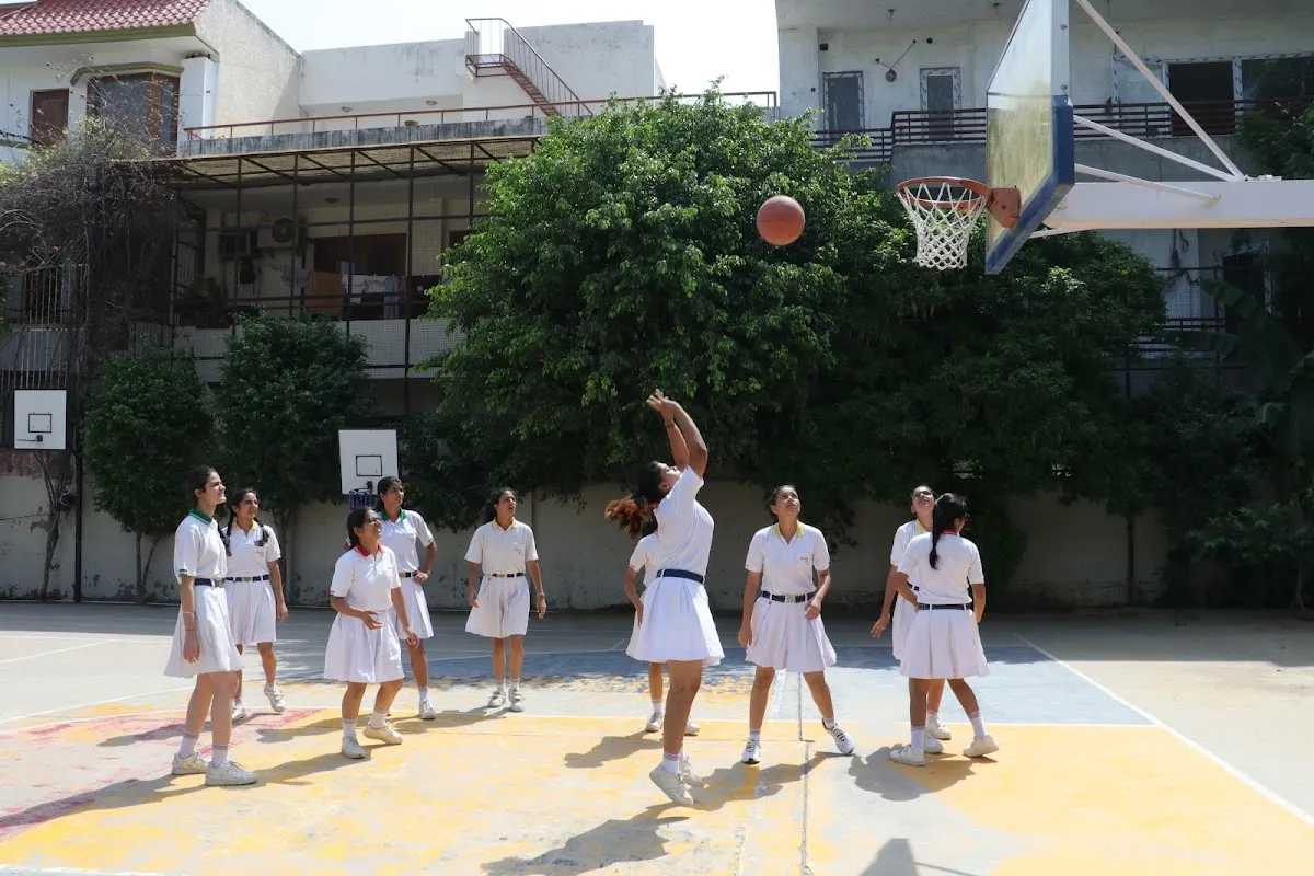 American Montessori Public School, Senior Wing photo 4