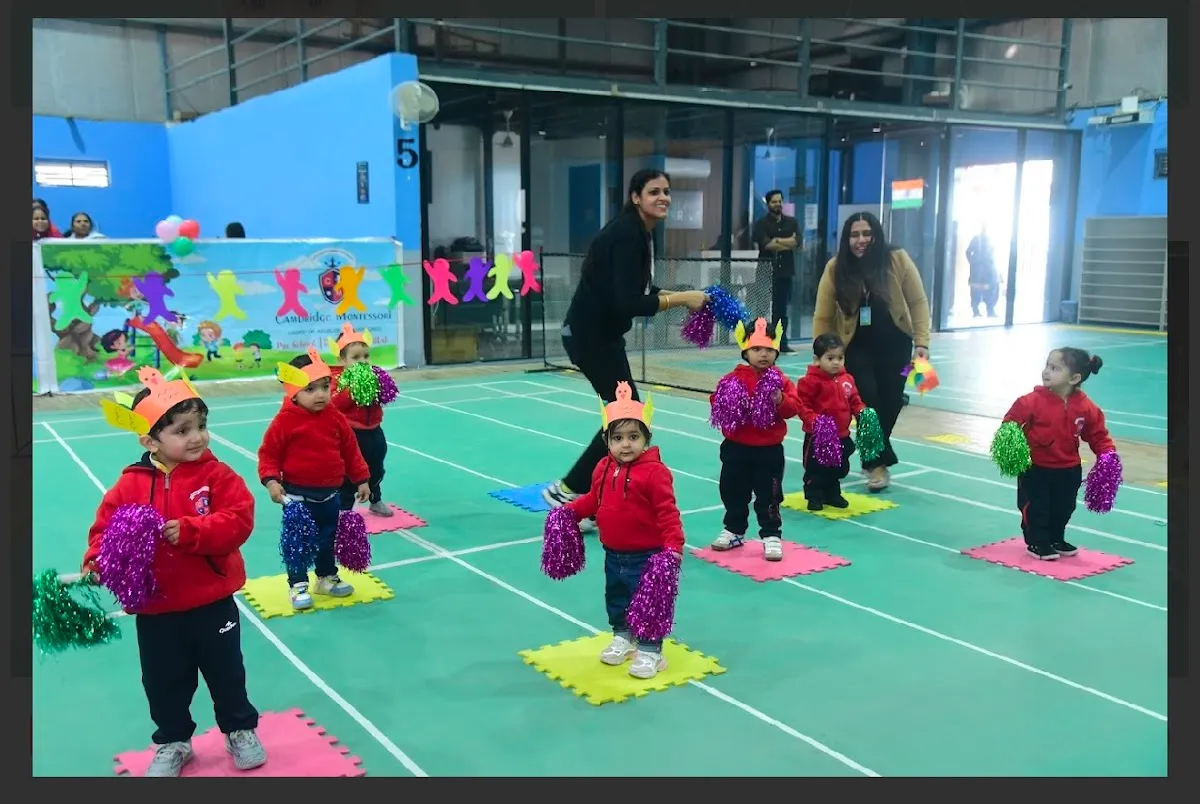 Cambridge Junior sector 56 photo 2