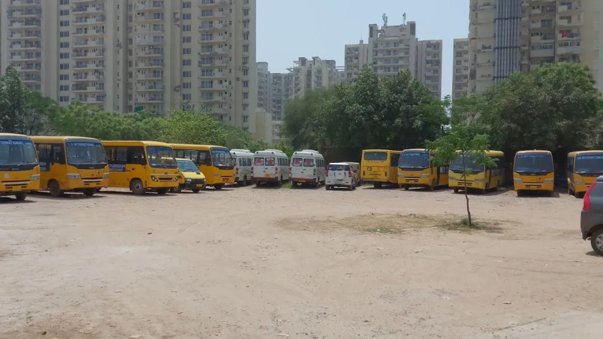 CD International School photo 6