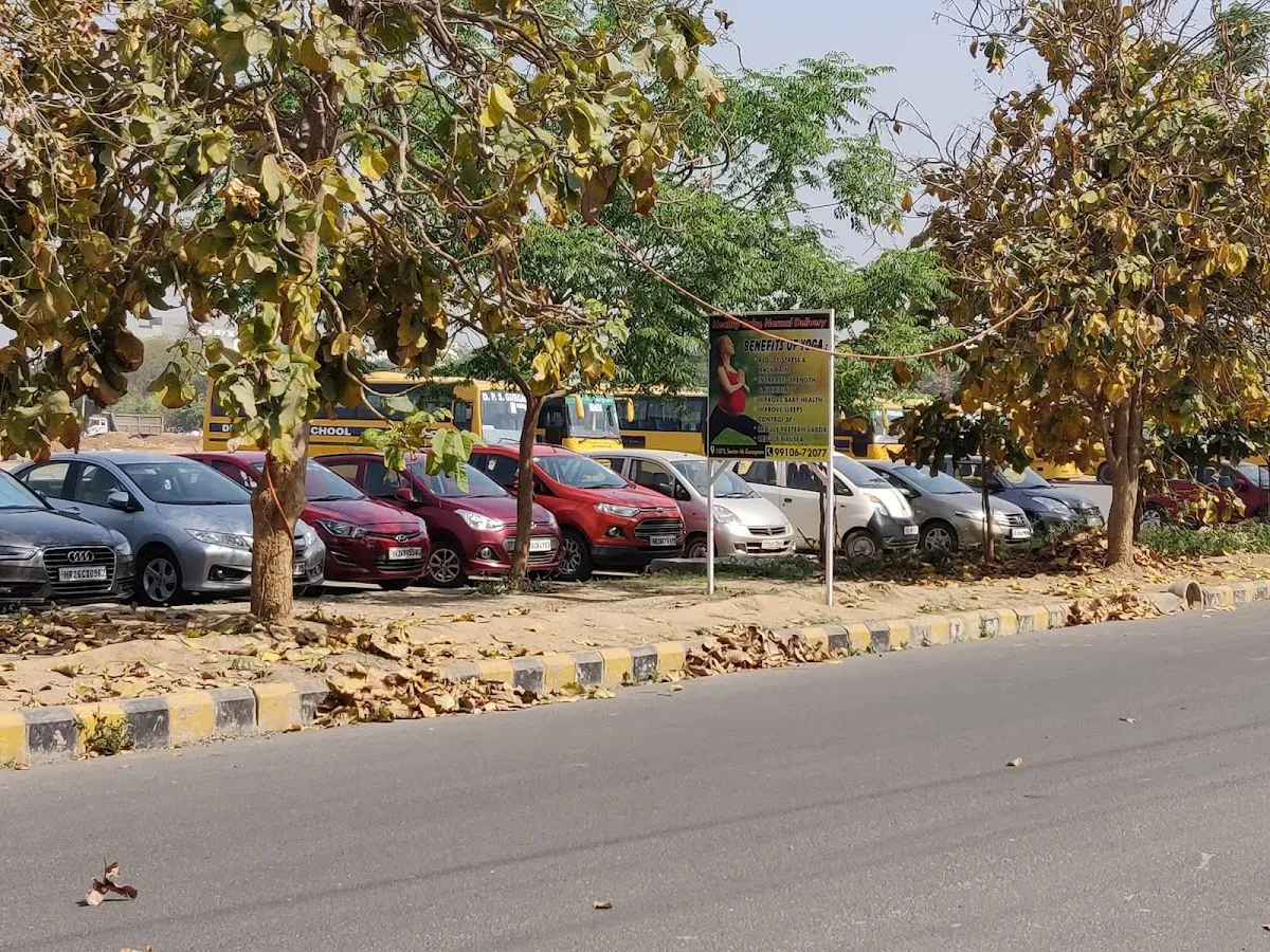 Delhi Public School Primary Wing photo 5