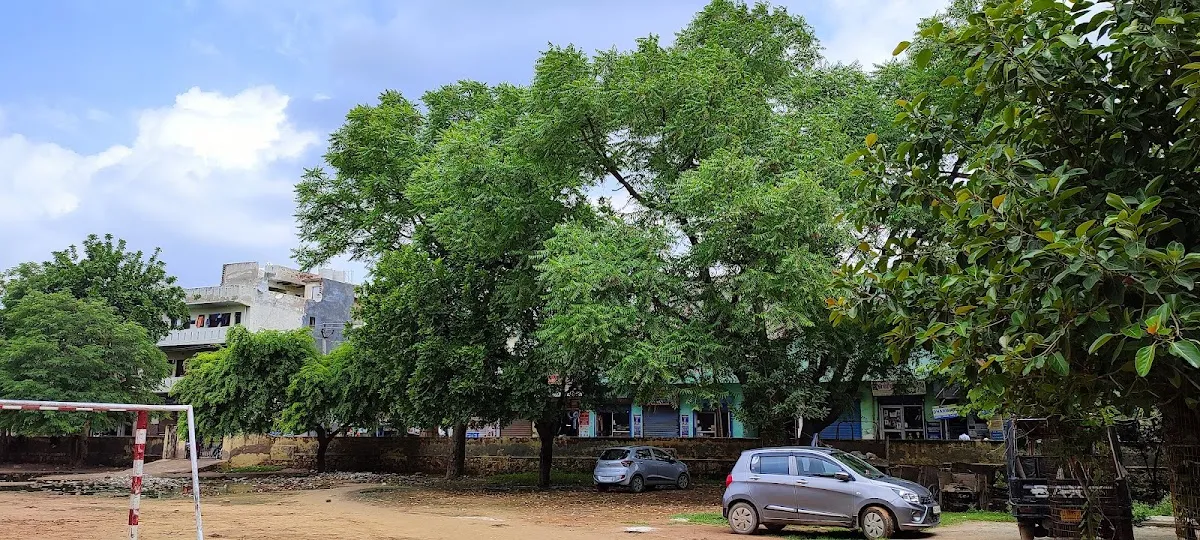 Government Senior Secondary School photo 2