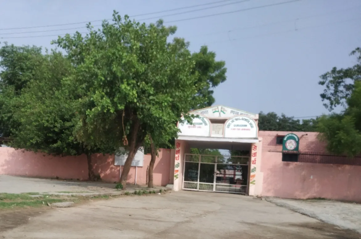 Government Senior Secondary School Basai(746) photo 2