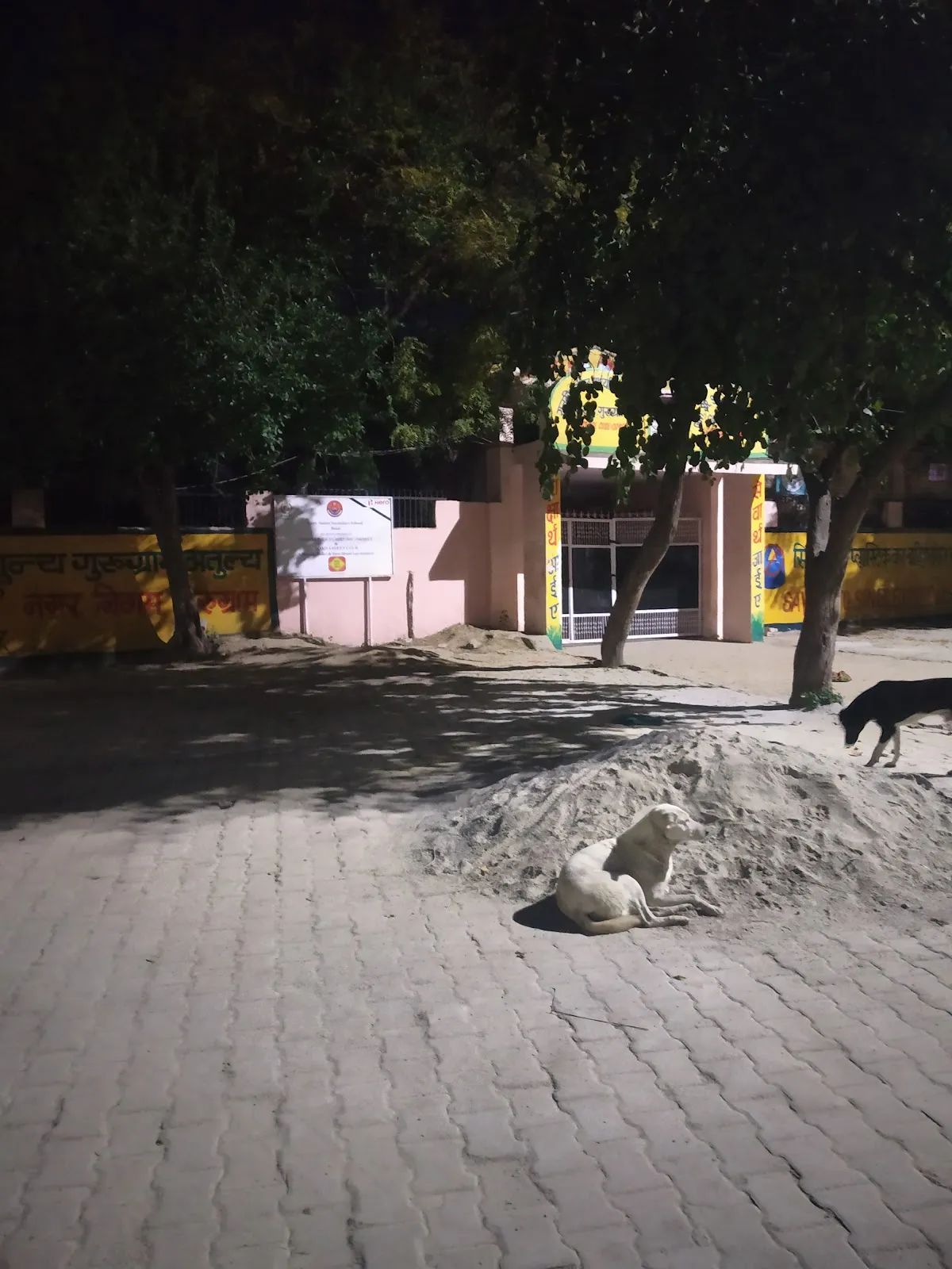 Government Senior Secondary School Basai(746) photo 5