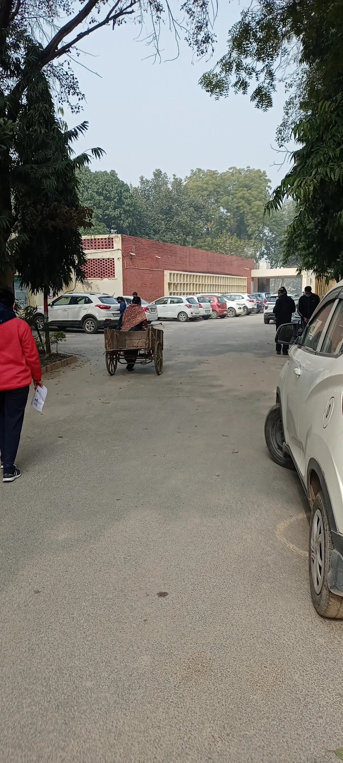 Govt. Model Sr Secondary School 4/7 Urban Estate photo 5