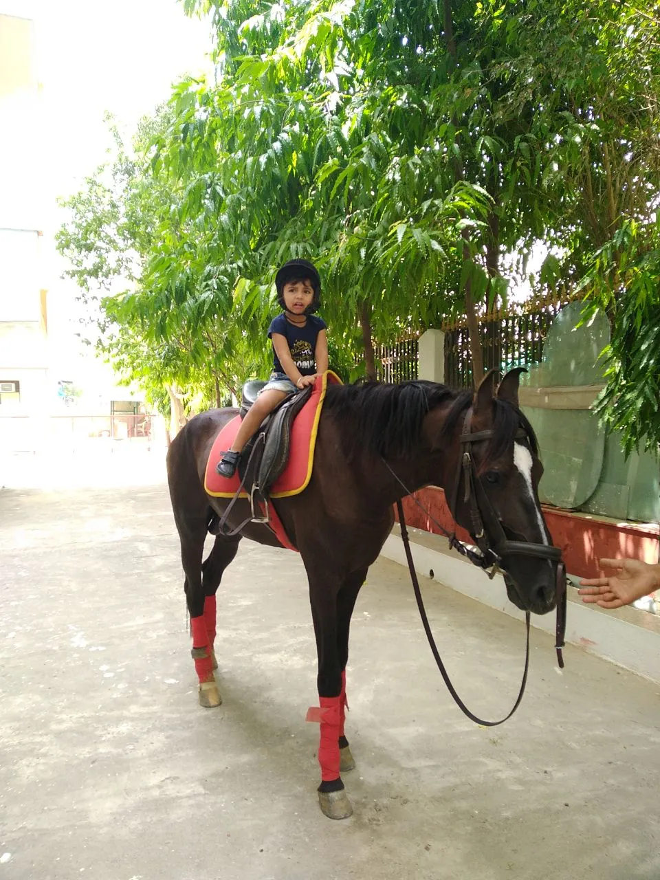 JollyJoy School -Best Pre School in Gurugram photo 2