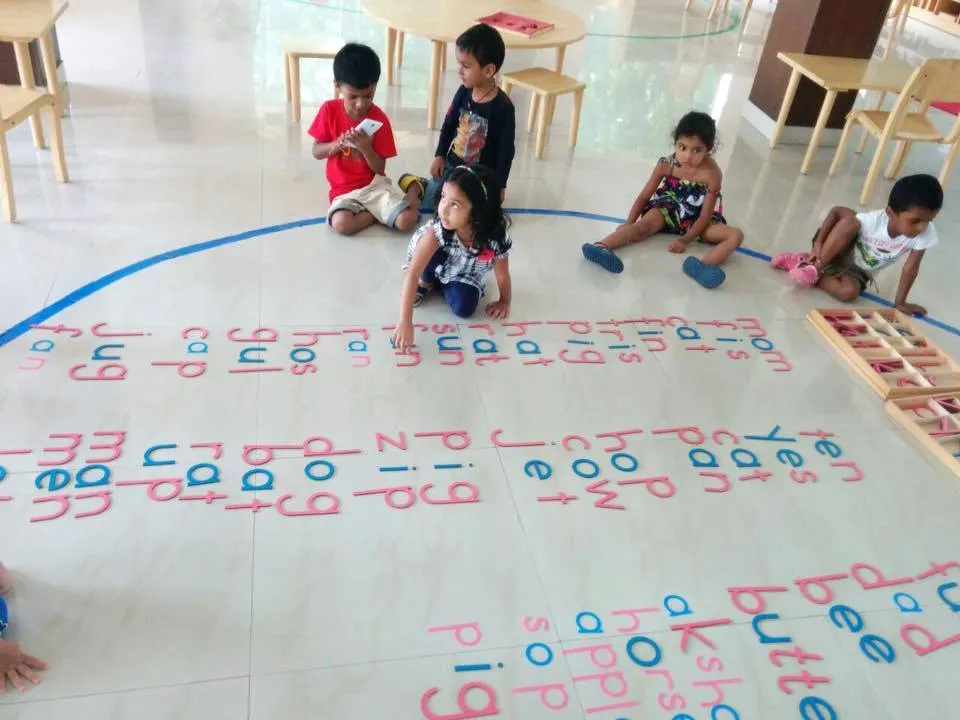 Productive Minds, Malibu Town photo 5