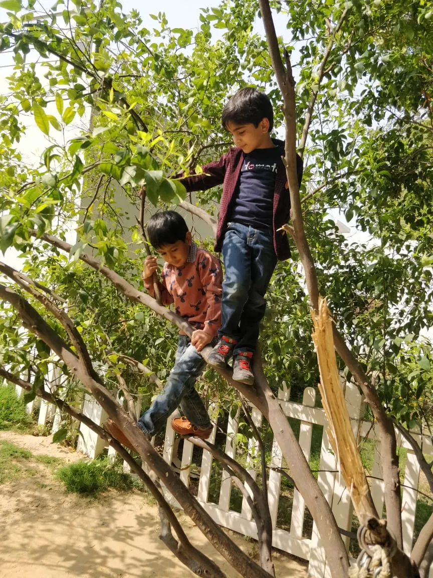 Productive Minds, Malibu Town photo 6