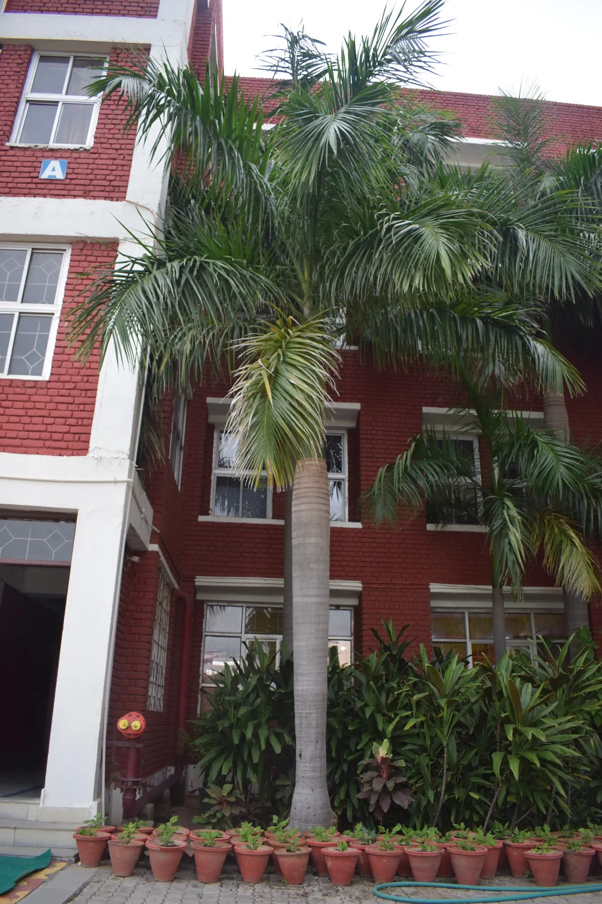 Salwan Public School, Gurugram photo 4