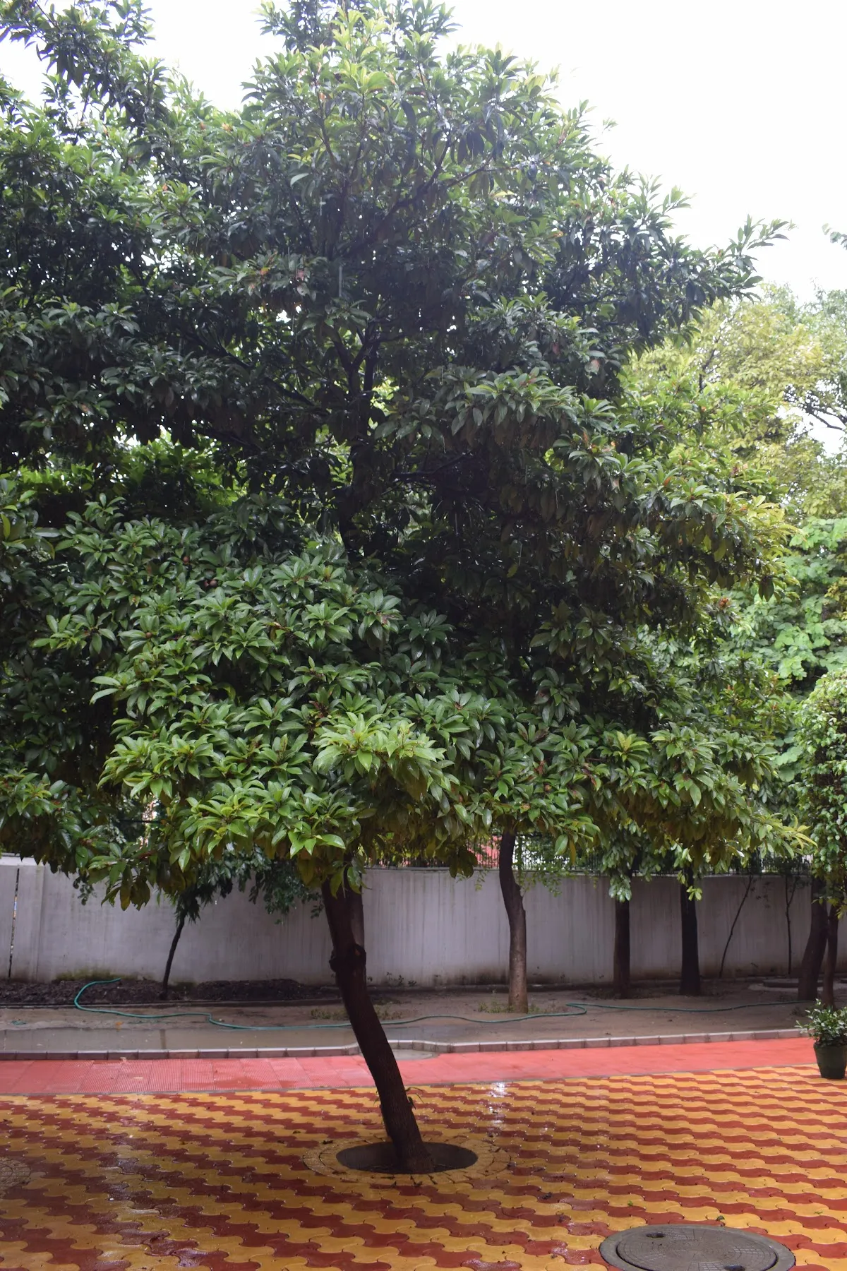 Salwan Public School, Gurugram photo 5