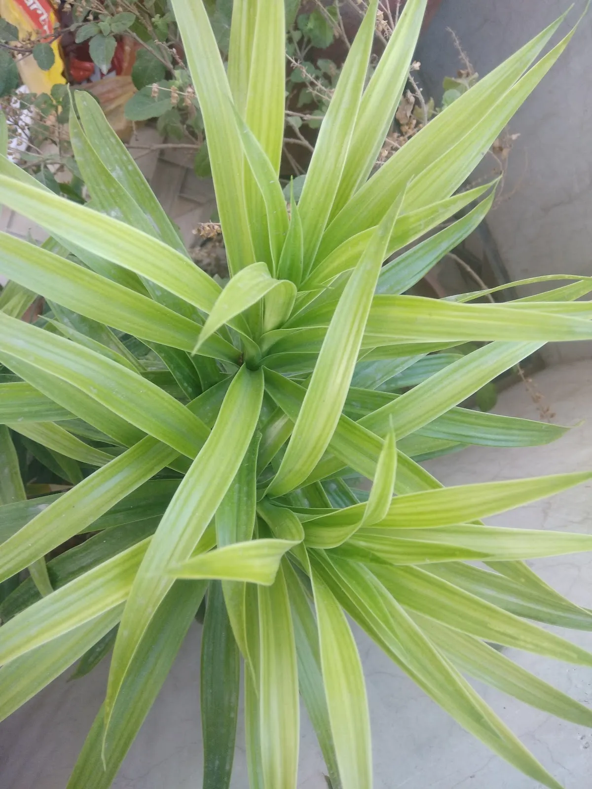 Sidheshwar School Primary Branch photo 5